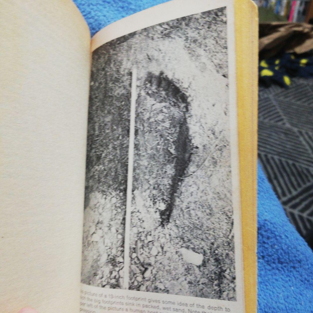 洋書 BIGFOOT: On Track of Sasquatch by Green