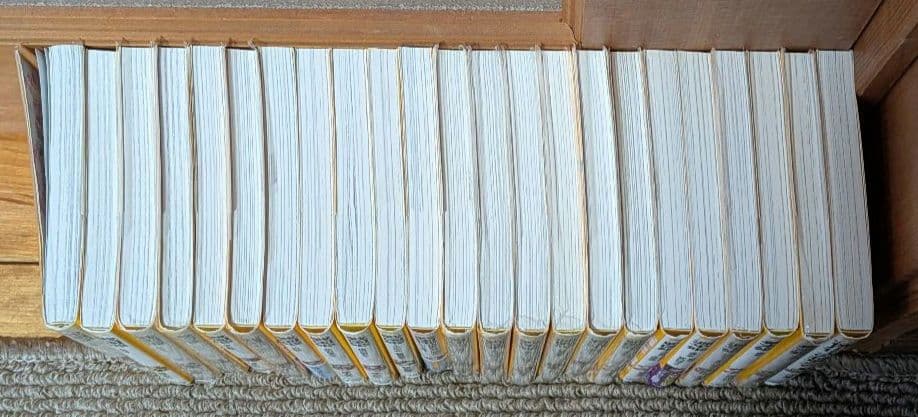 戦国姫　源平姫　幕末姫　小説23冊セット