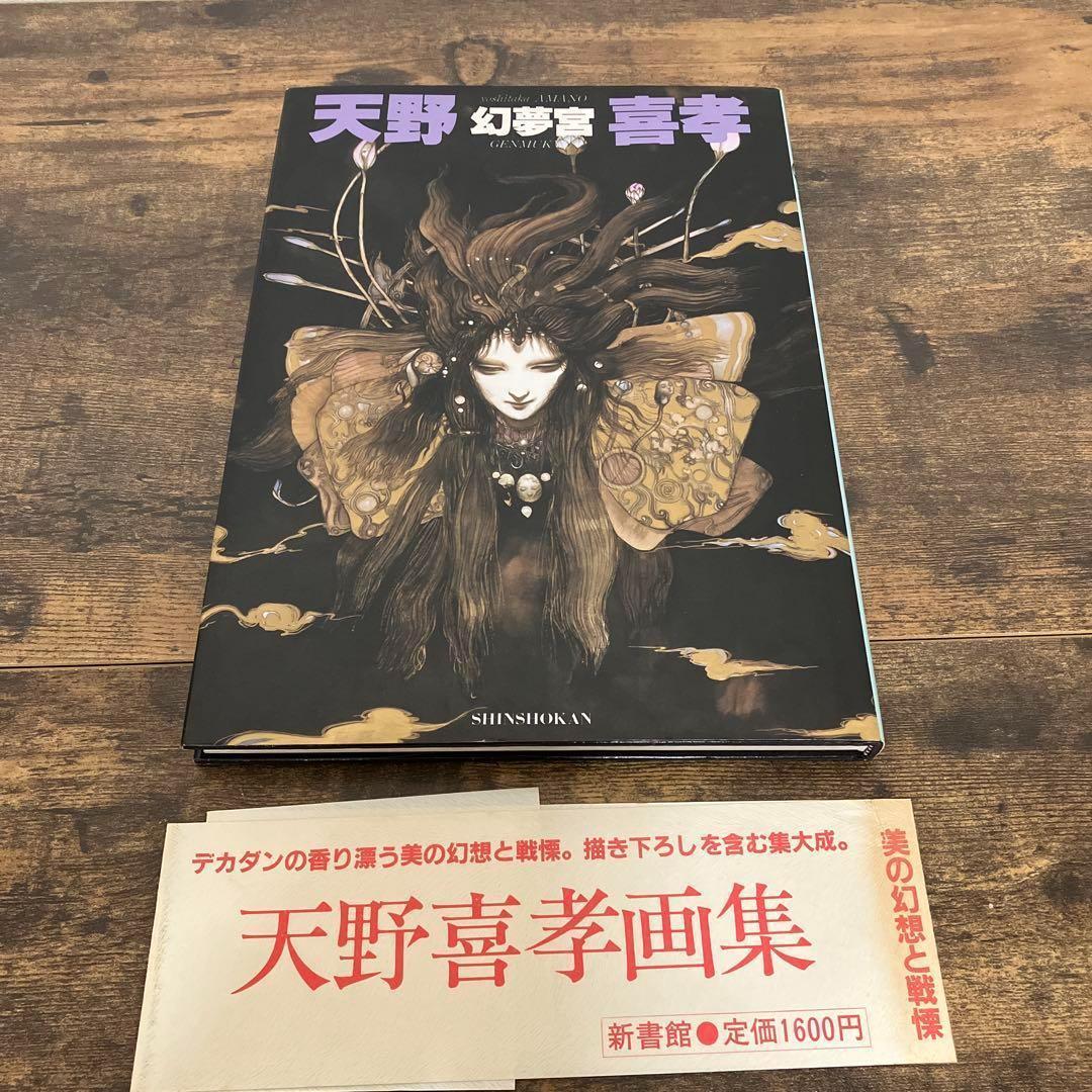 天野喜孝 画集 セット 幻夢宮 FINAL FANTASY 魔天 飛天