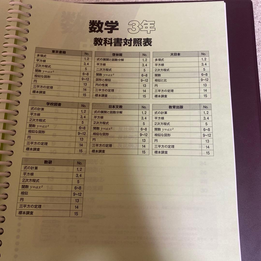 生徒用指導書 文部科学省指導要領準拠