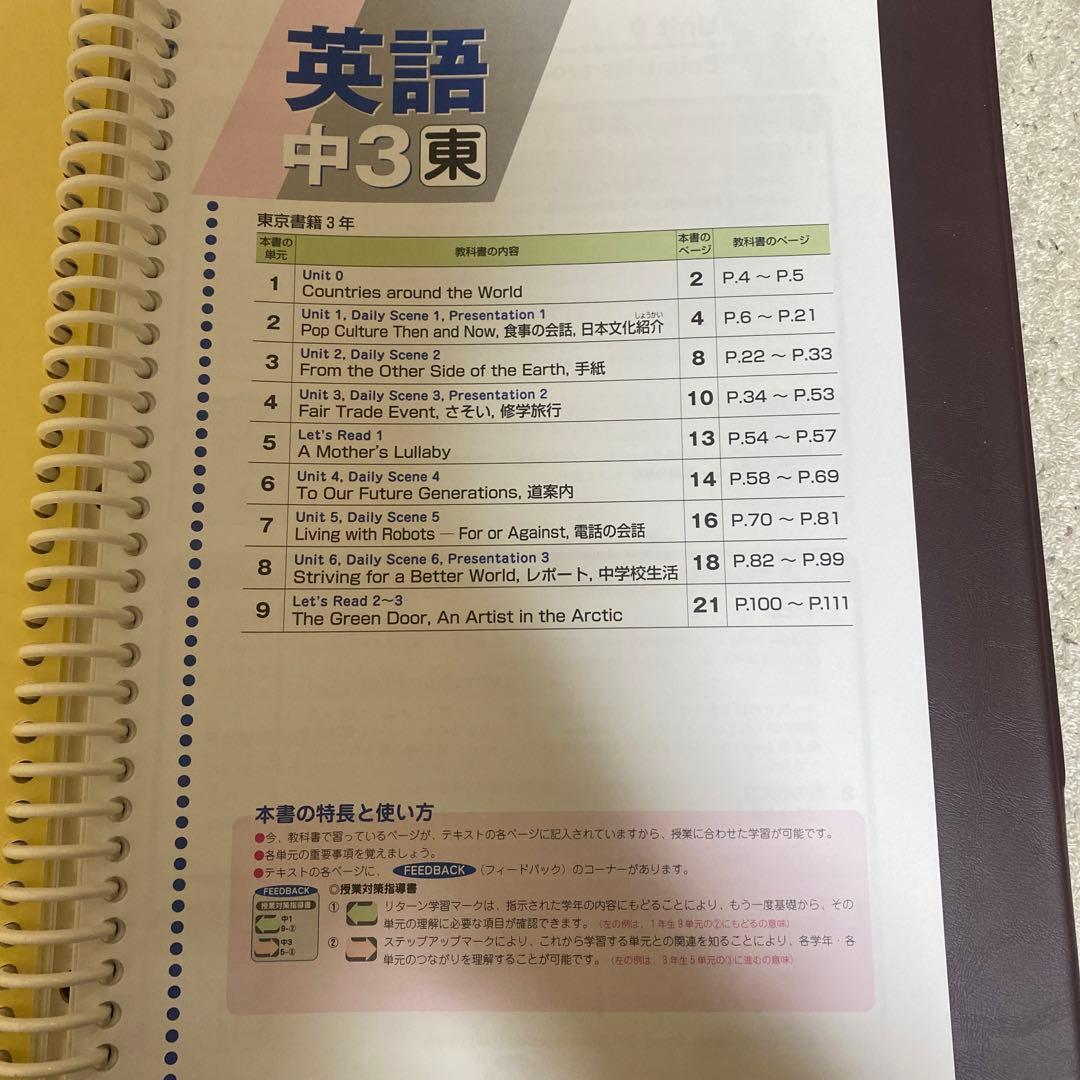 生徒用指導書 文部科学省指導要領準拠