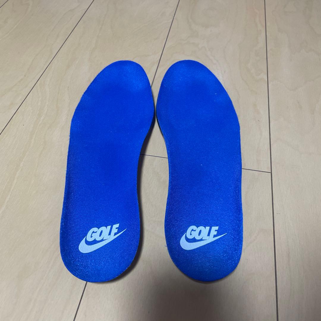 シューズ(男性用) NIKE VICTORY TOUR 3