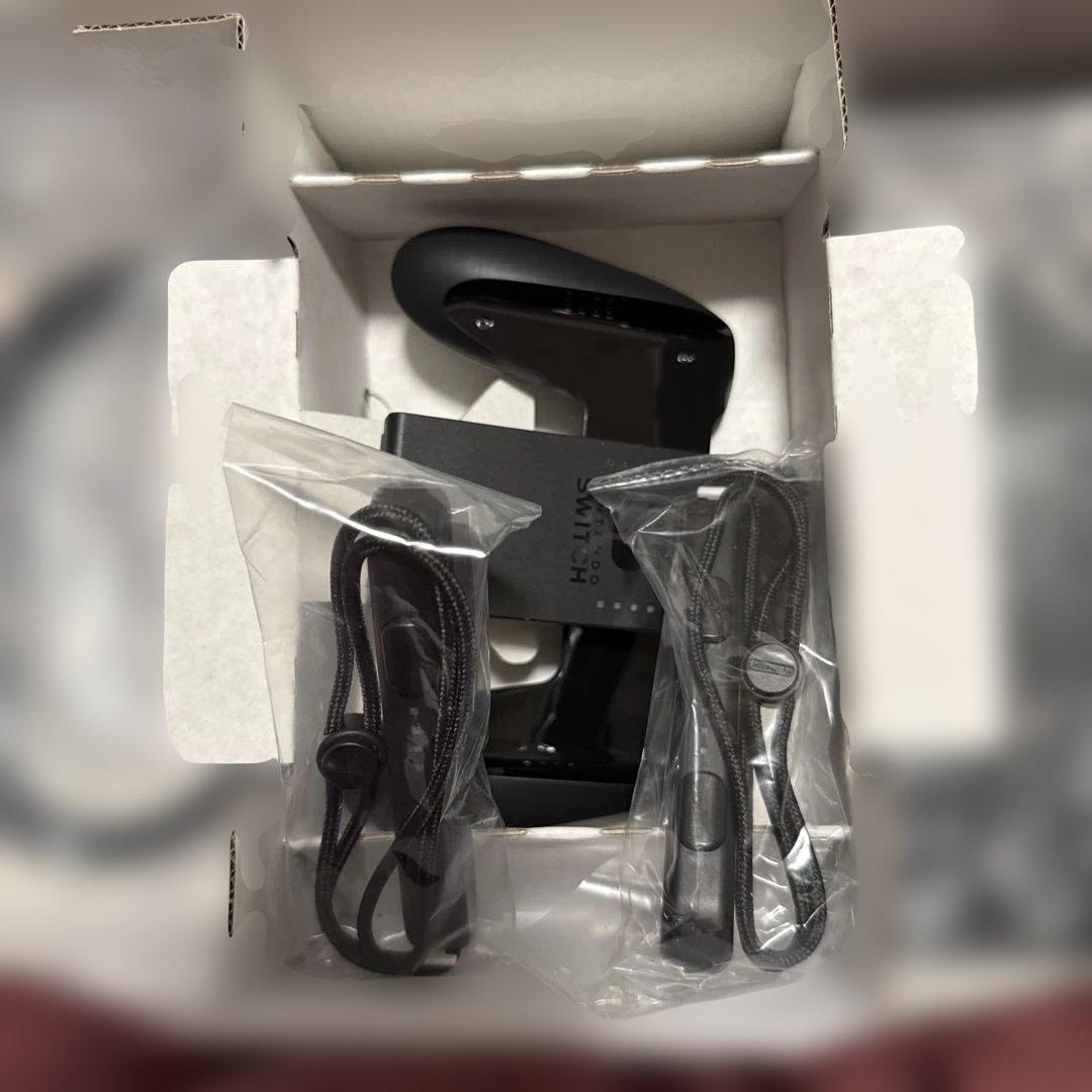 Nintendo Switch NINTENDO SWITCH ダイラントウ …