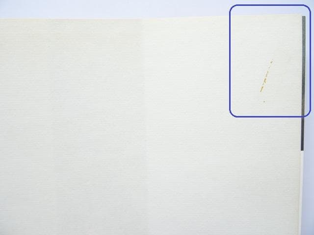 洋書◆ゴヤ画集 作品写真集 本 絵画 幻想的なビジョン