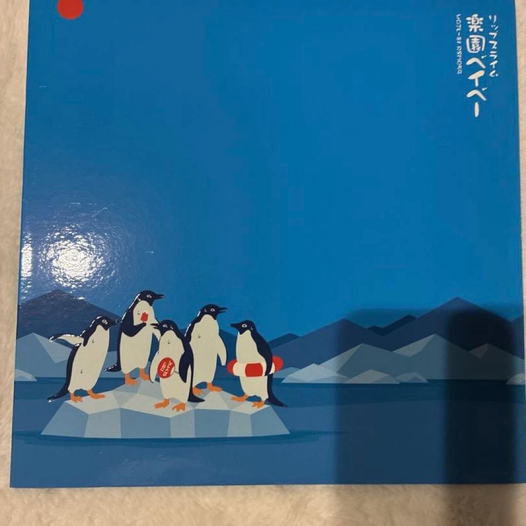 【激レア】RIP SLYME アナログレコード 7枚セット 楽園ベイベー 他）