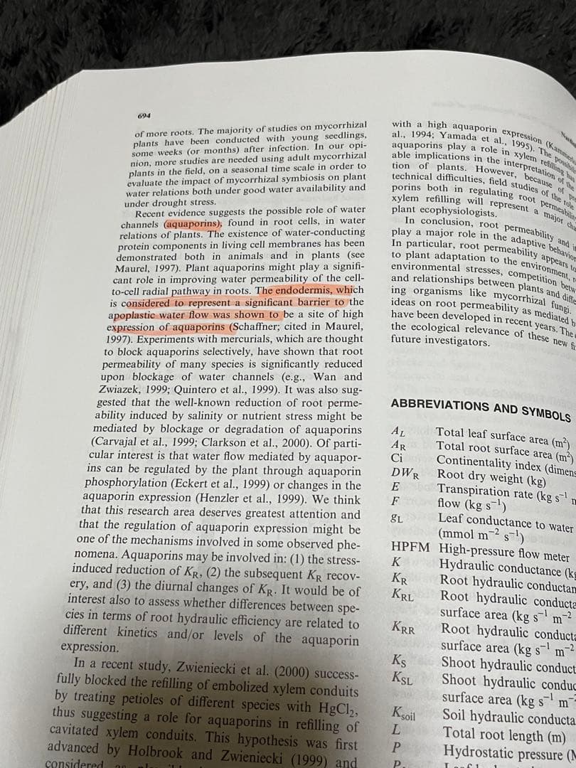 PLANT ROOTS THIRD EDITION REVISED 洋書