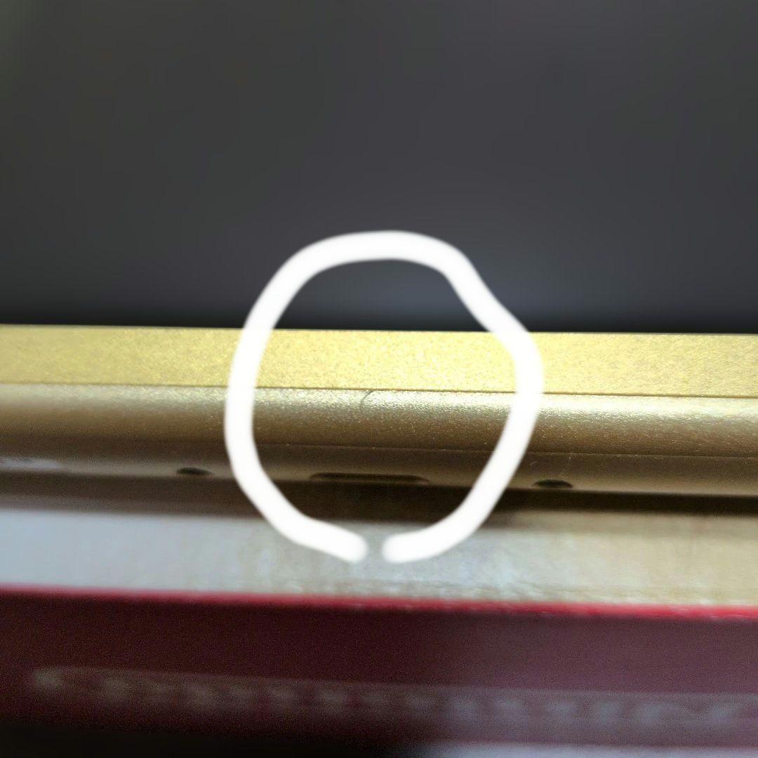 Nintendo Switch Lite ゴールド ハイラル エディション本体