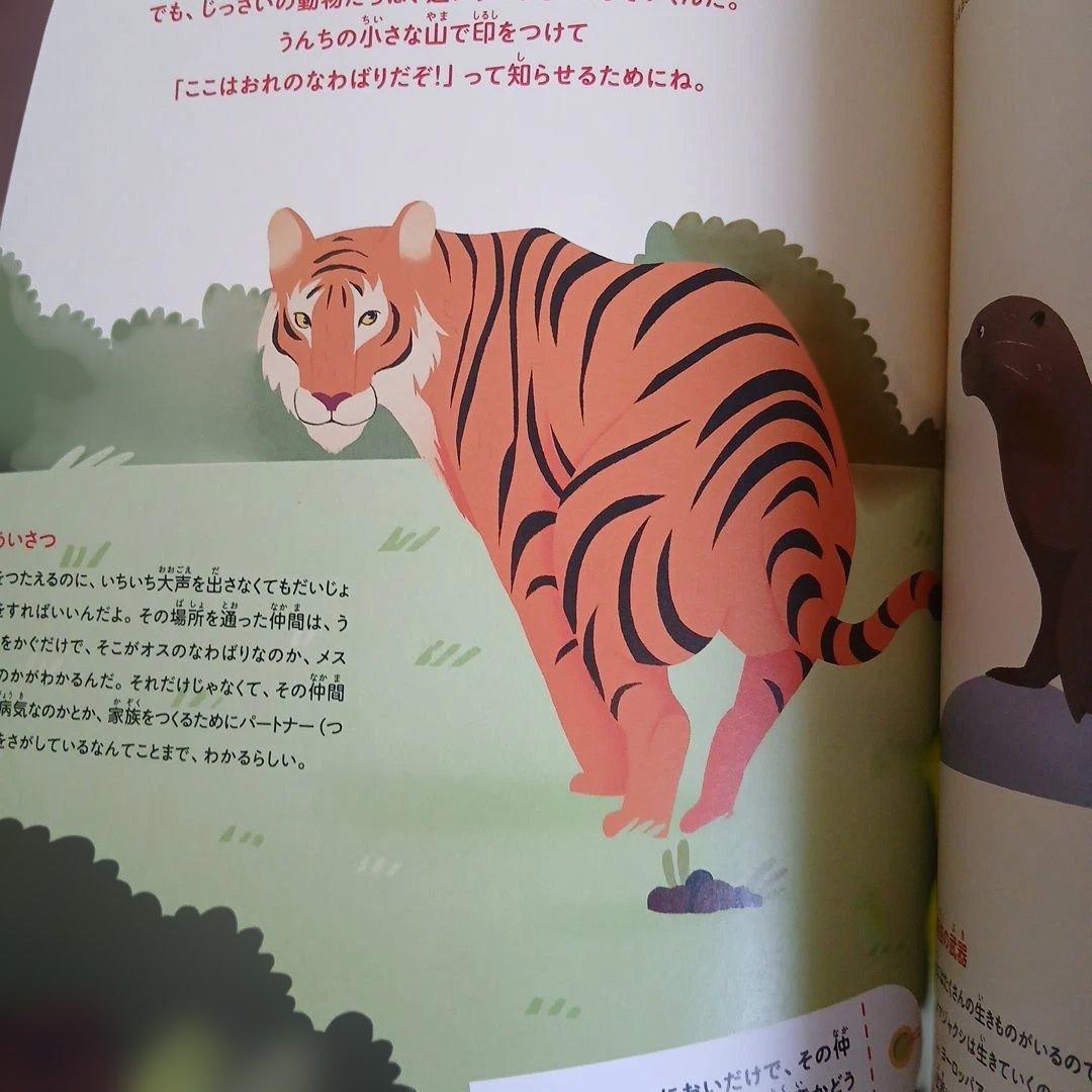 まとめ売り　絵本　仕掛け絵本　どうぶつ　せかい地図　恐竜大行進　のりものずかん