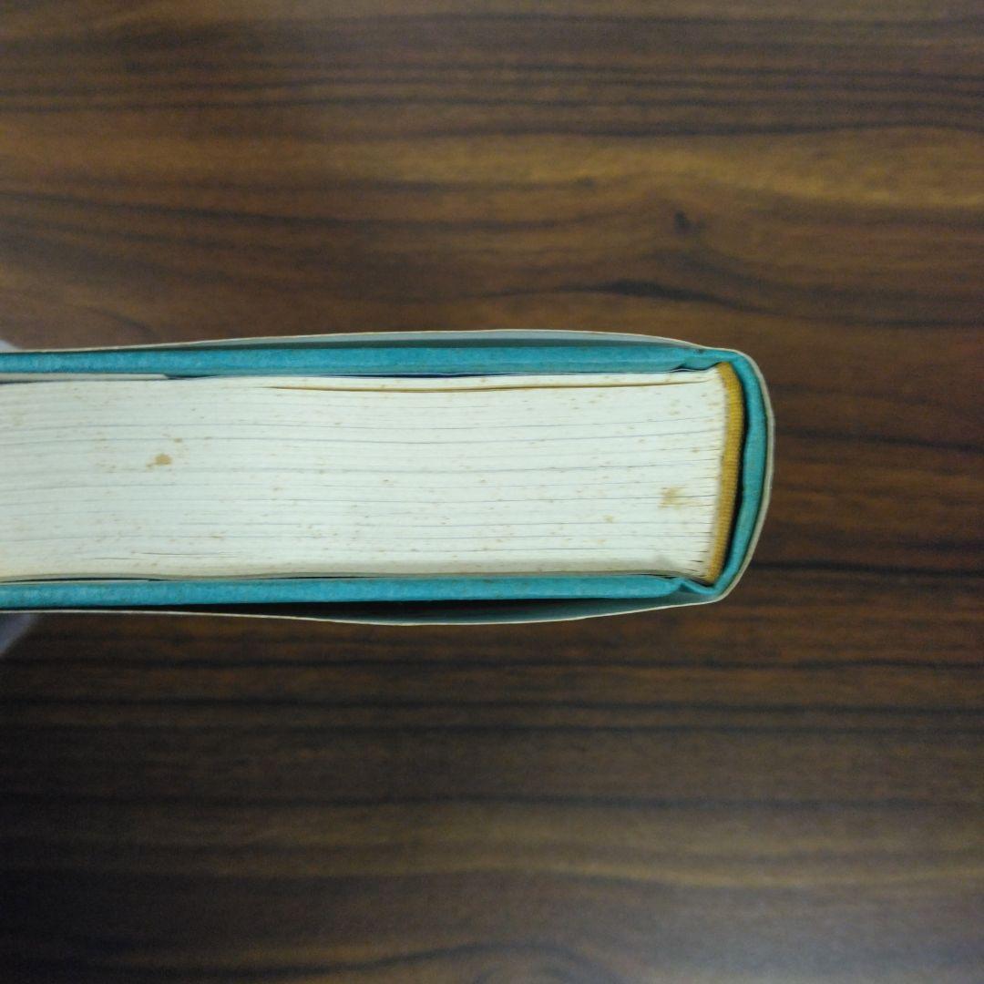 アルザスの青い空 大久保昌一良