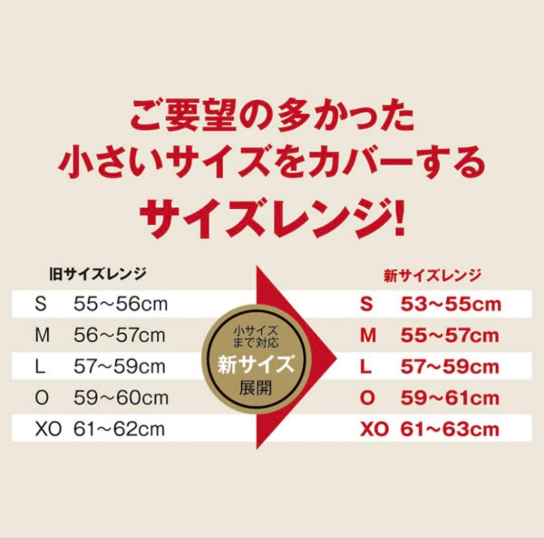 ミズノ　ソフトボール　ヘルメット　つや消し　ネイビー　Lサイズ　美品