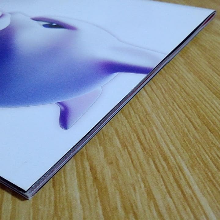 パンフレット ポケットモンスター ミュウツーの逆襲 EVOLUTION