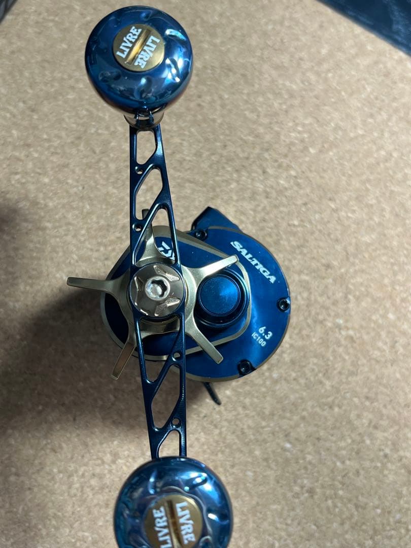 DAIWA SALTIGA IC100L ベイトリール