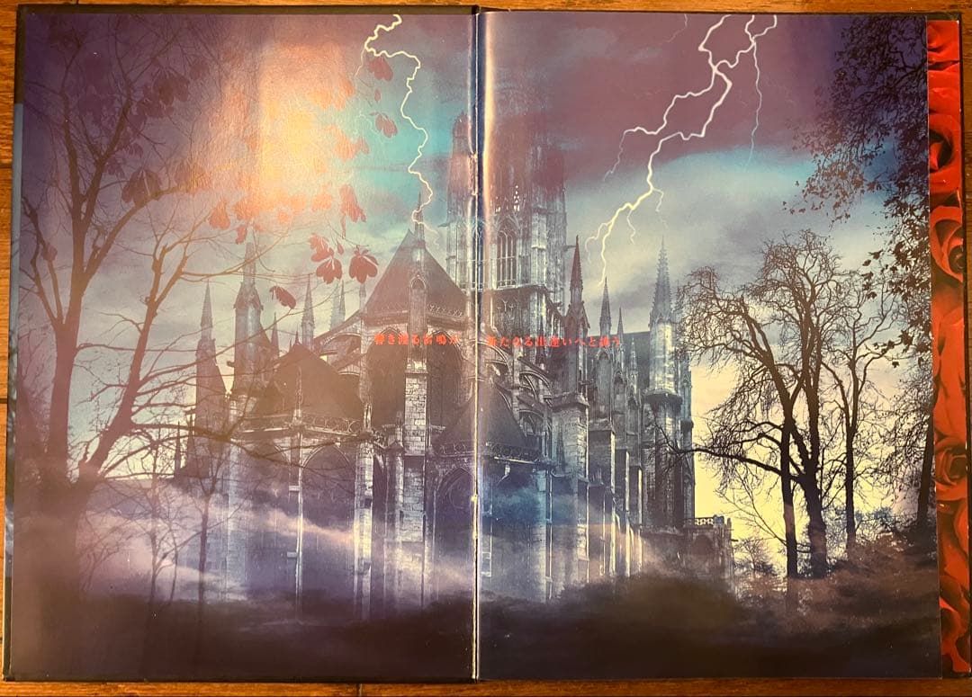 MALICE MIZER 薔薇の聖堂 CD アルバム 初回限定盤