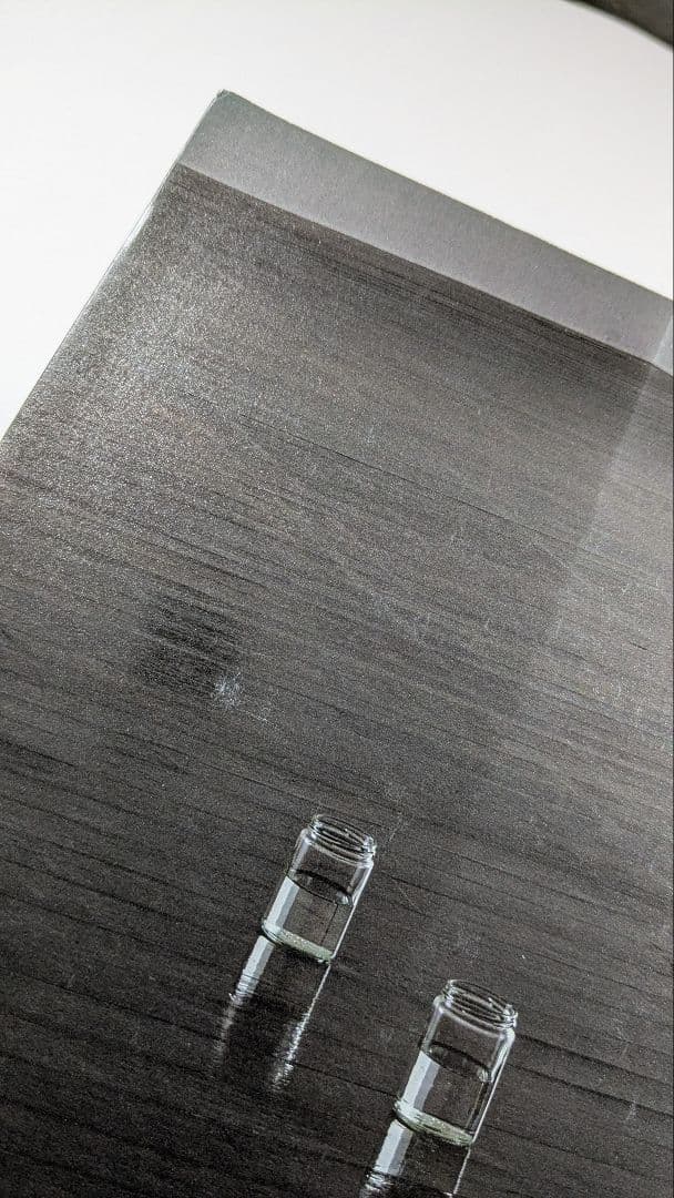 内藤礼－明るい地上には　あなたの姿が見える 　図録