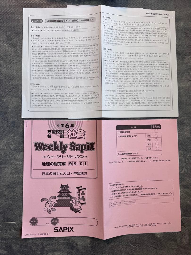 user_d5547334 ⭐︎最新版フルセット① SAPIXサピックス6年
