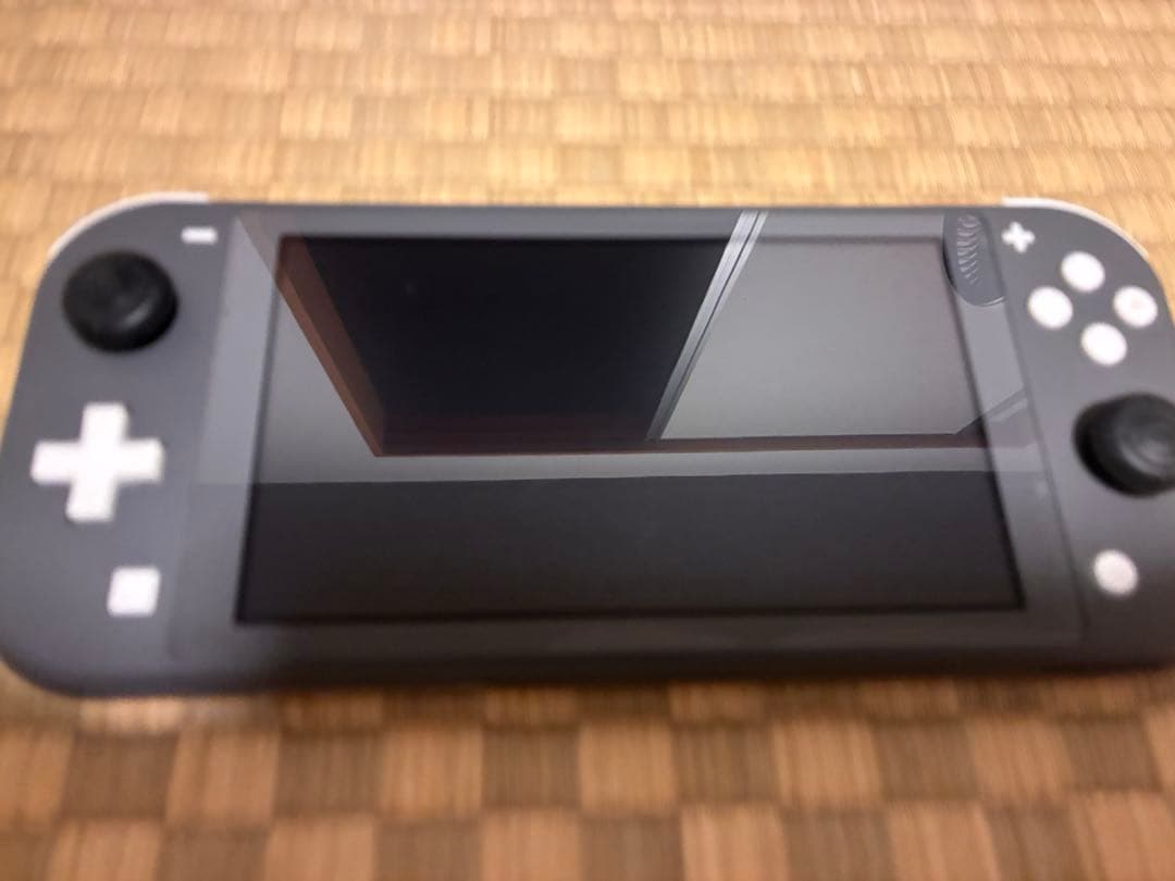 Nintendo Switch Lite 本体　Gray グレー