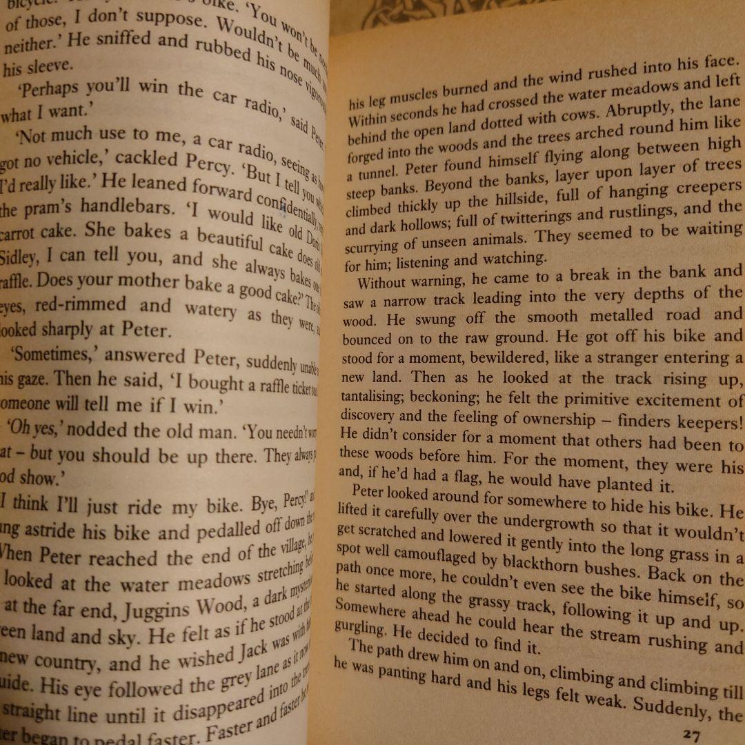 ★ 隠れ家 / ジャミラ・ガヴィン / 英語・小説・洋書