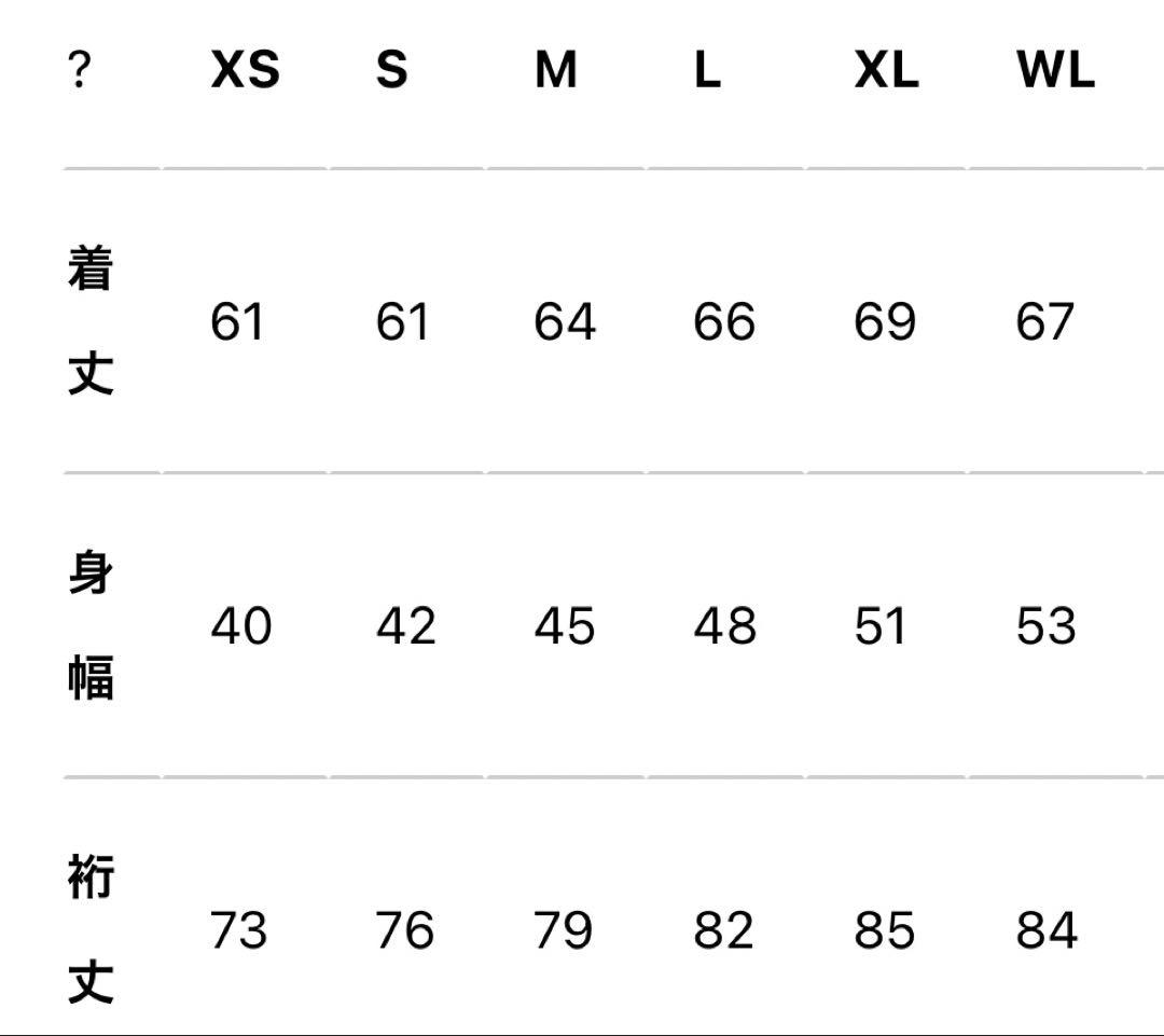 Lion de Kapelmuur ライトウォームジャージ　Ｌサイズ