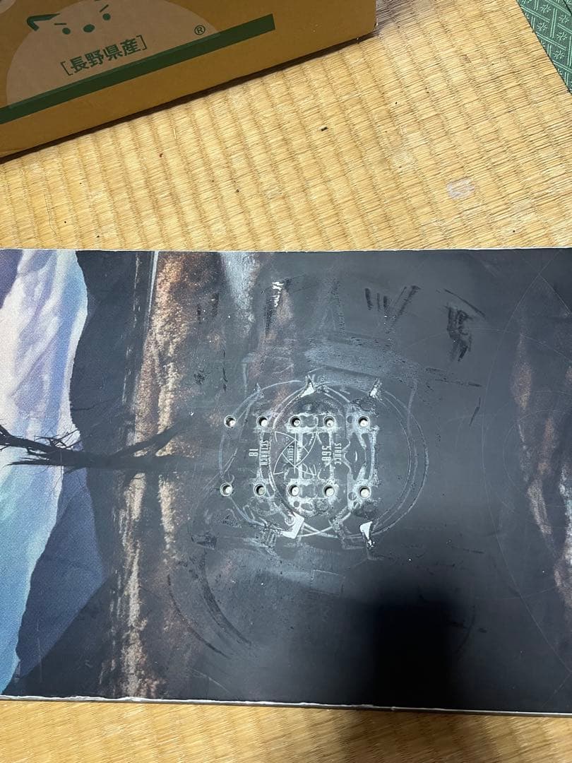 OGASAKA CTW オガサカCTW ワイド　156cm 23-24年モデル