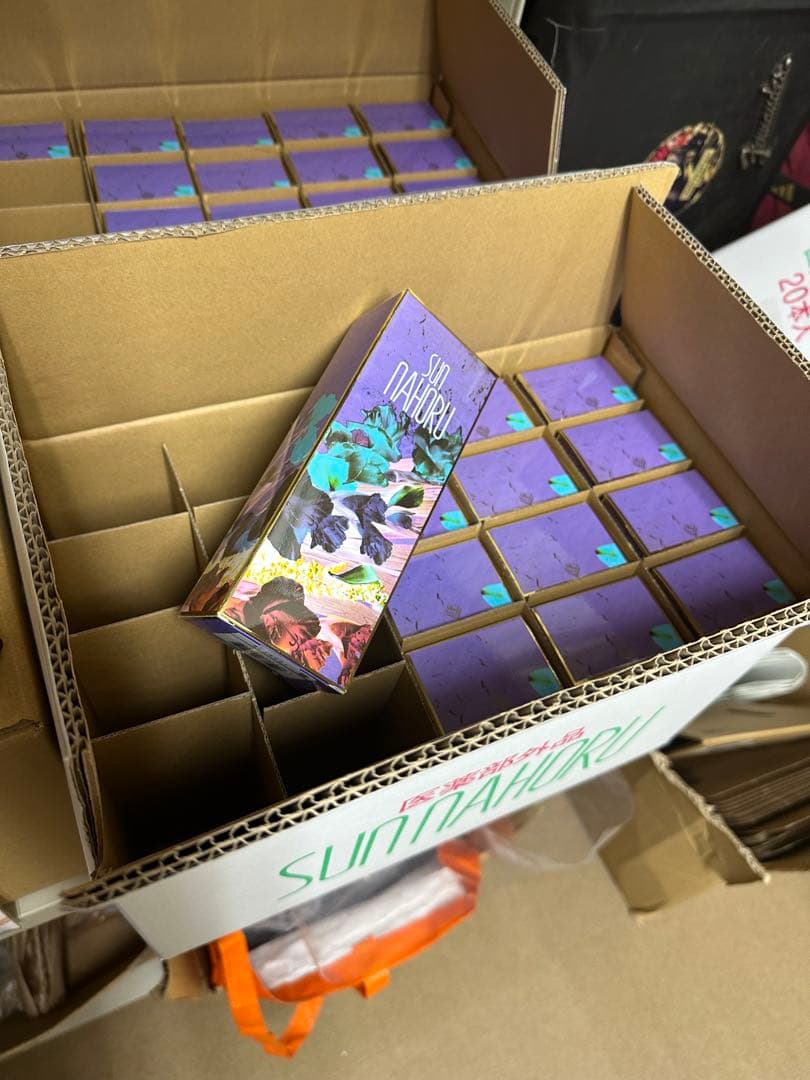 サンナホルナチュラルトリートメントシャンプー300ml2本　分包商品説明書付き