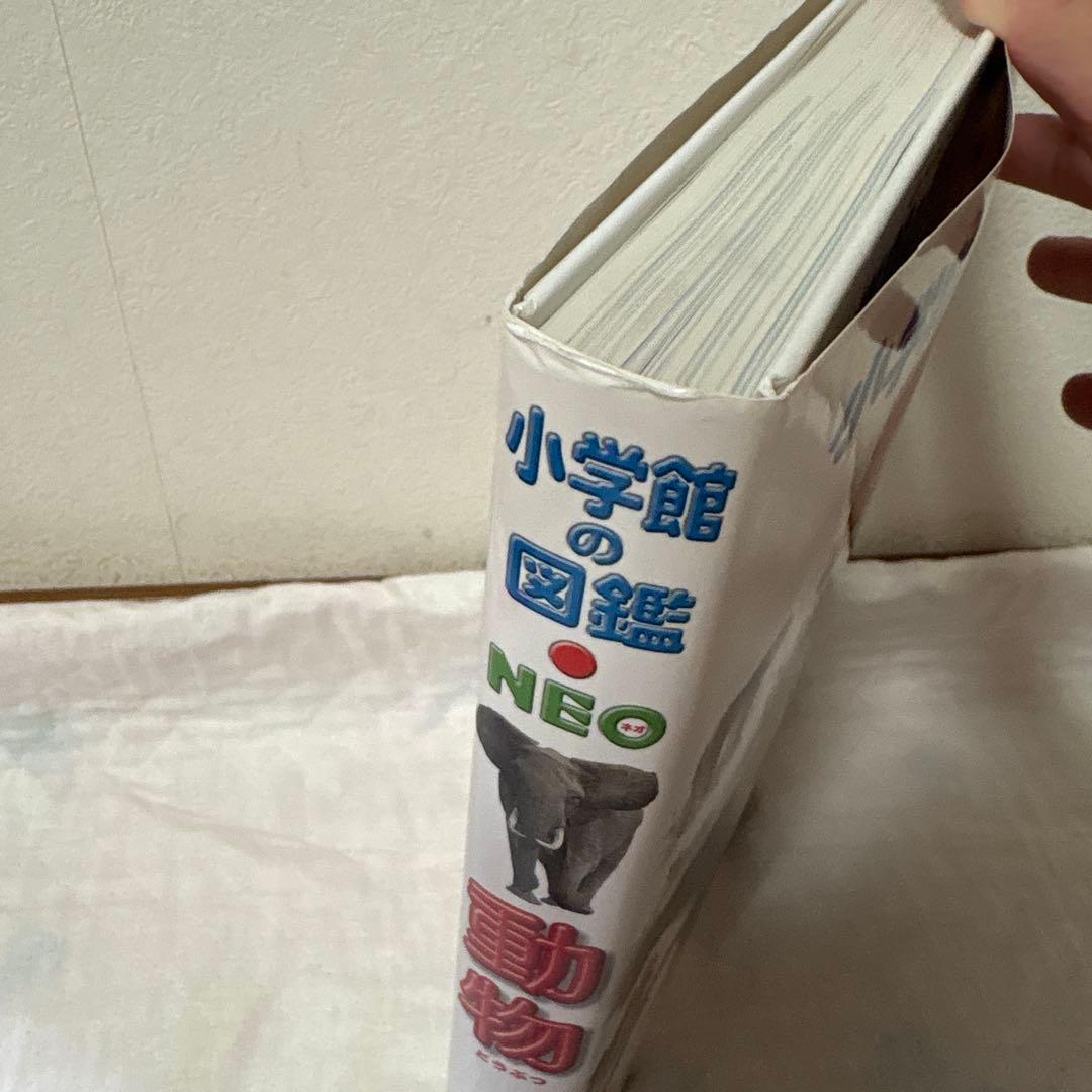 小学校の図鑑 NEO 動物