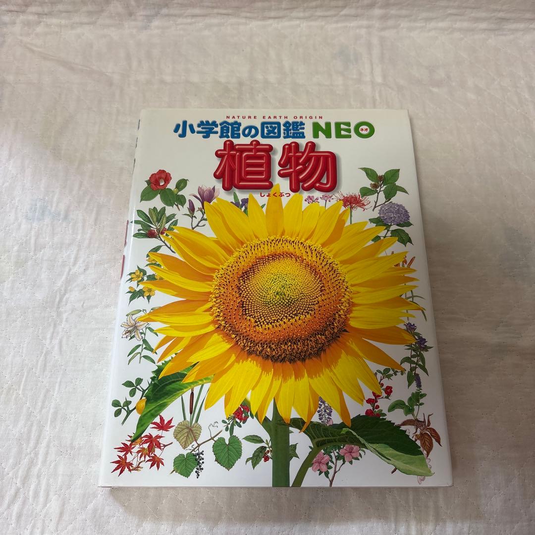 小学校の図鑑 NEO 動物