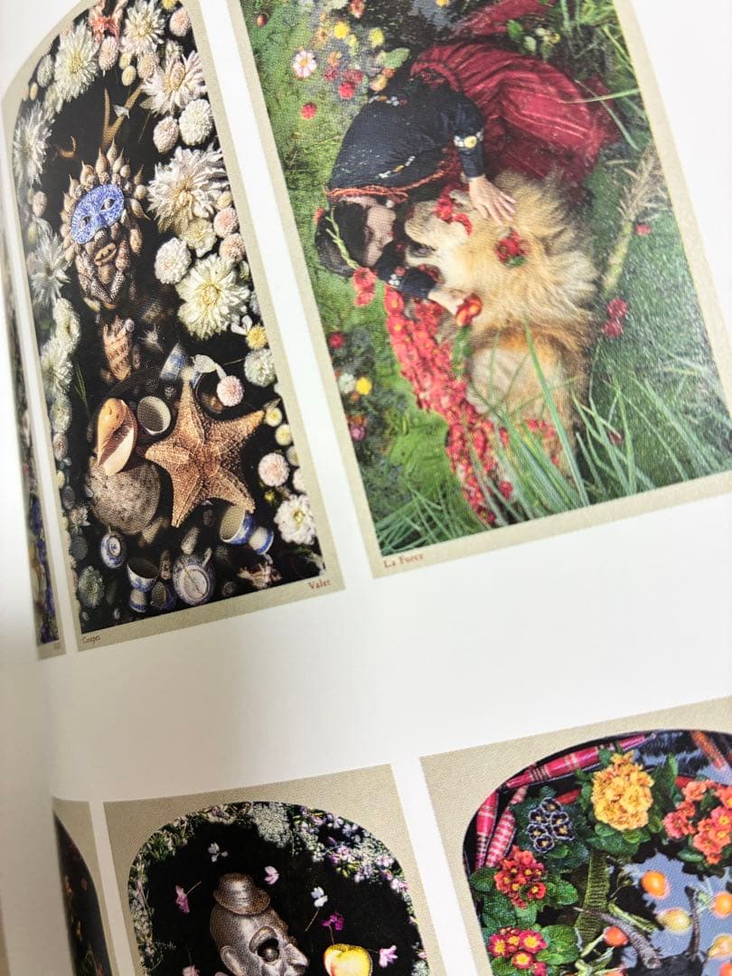 八百万の神様カード 33枚セットとタロットと占術カードの世界