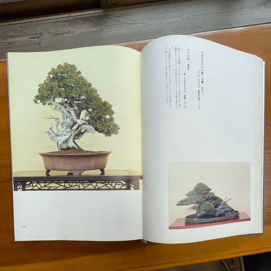 松柏盆栽大観 BONSAI MASTERPIECES OF CONIFERS