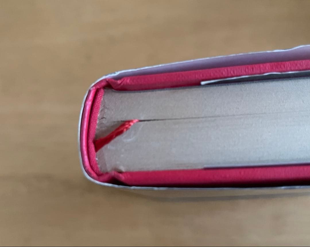 暗殺チーム デイヴィッド・ティニン著　高田正純訳