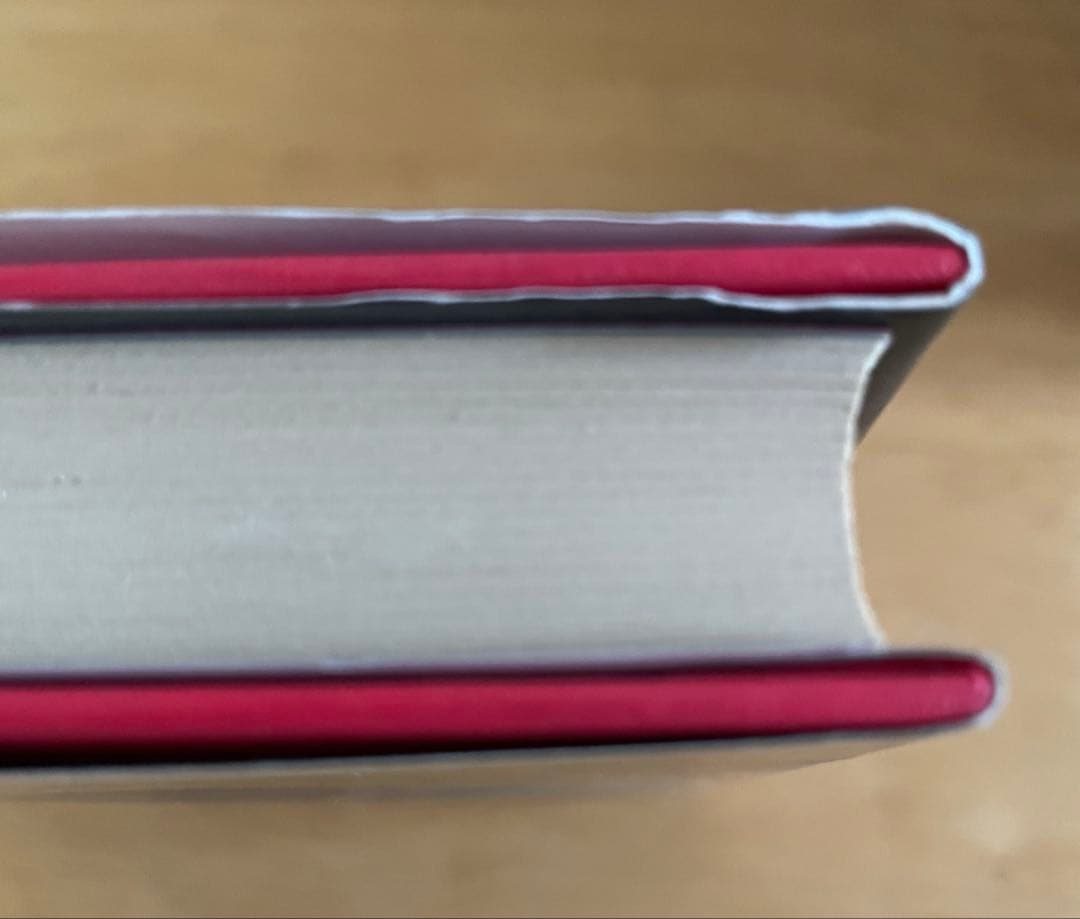 暗殺チーム デイヴィッド・ティニン著　高田正純訳