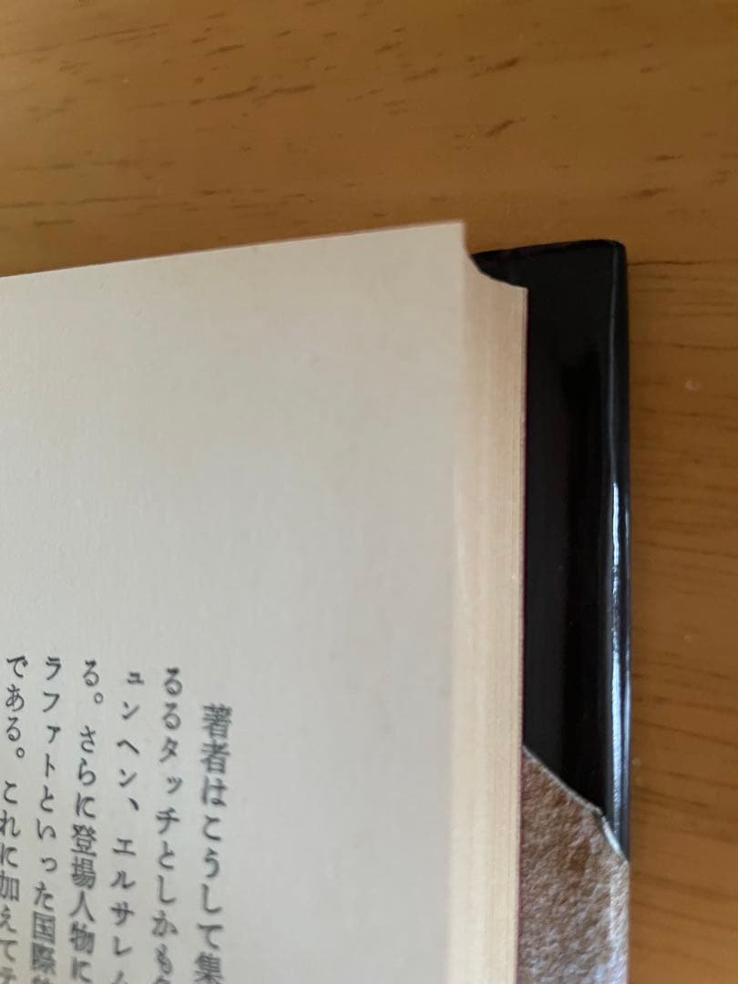 暗殺チーム デイヴィッド・ティニン著　高田正純訳