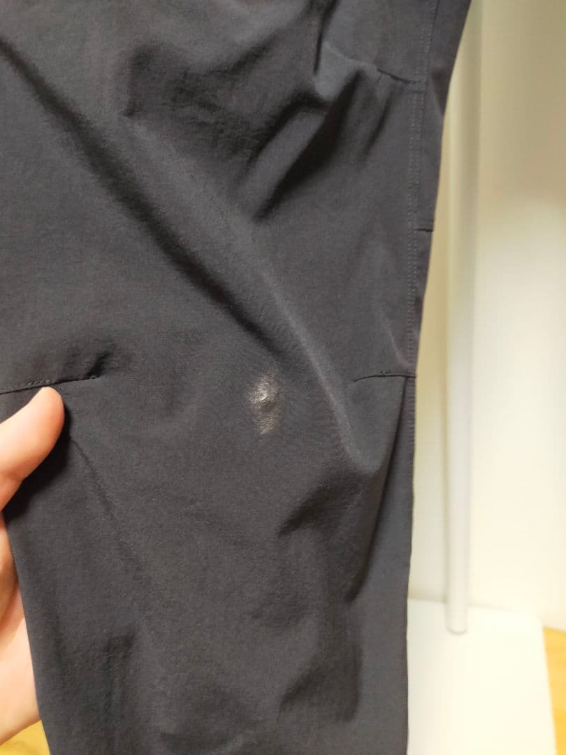 アークテリクス ガンマLTパンツ ブラック 30インチ