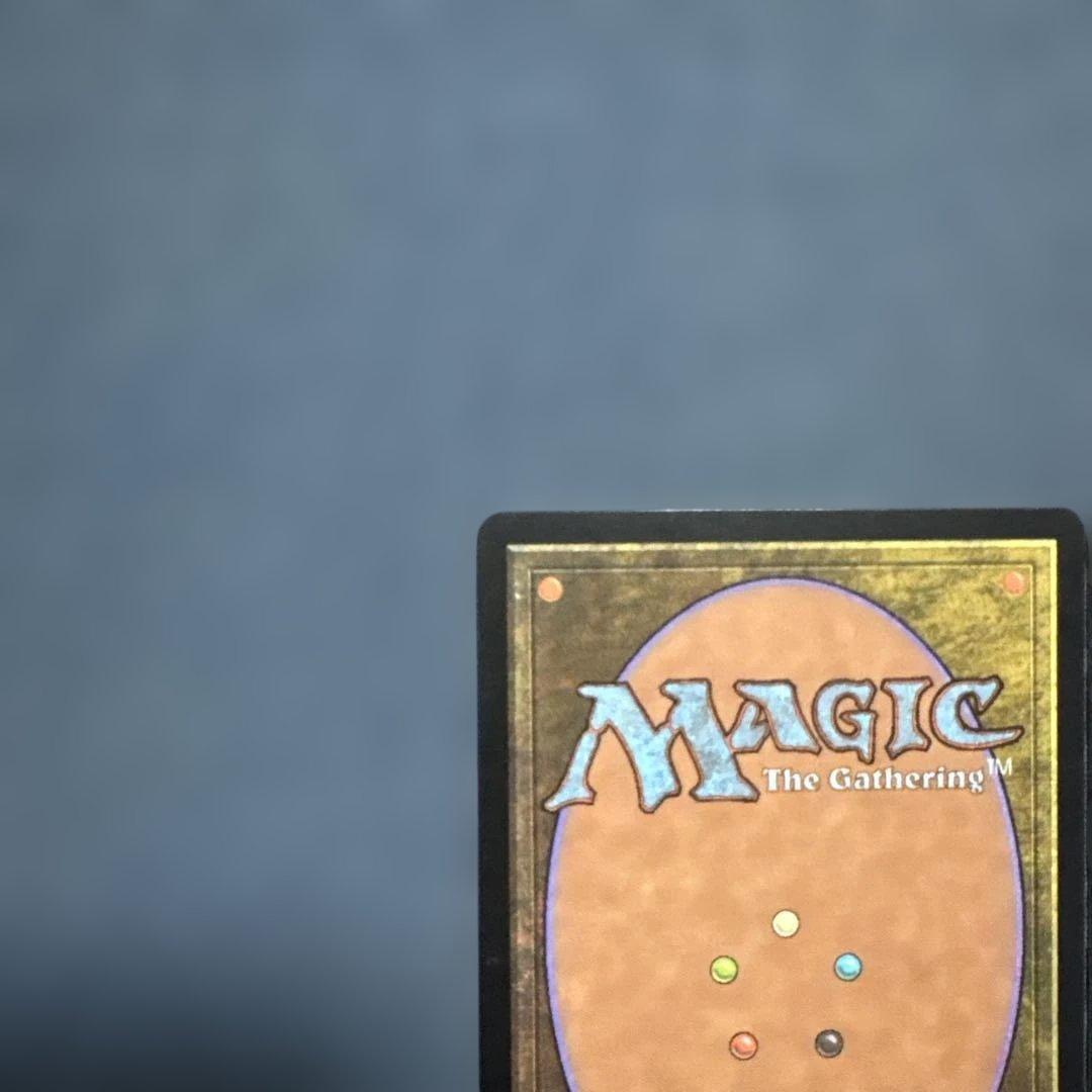 MTG サーボの網 日本語版4枚セット