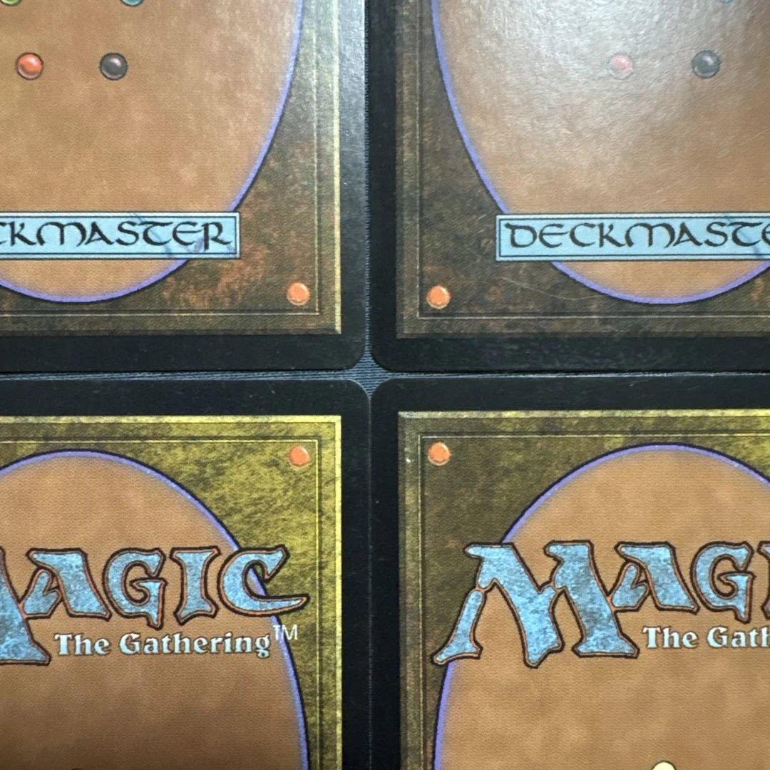 MTG サーボの網 日本語版4枚セット