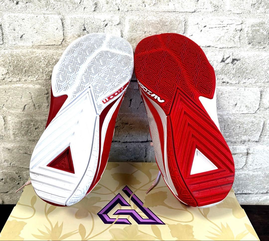 ◆限定・極美品◆Nike Zoom Freak 5 ASW EPバスケットボール