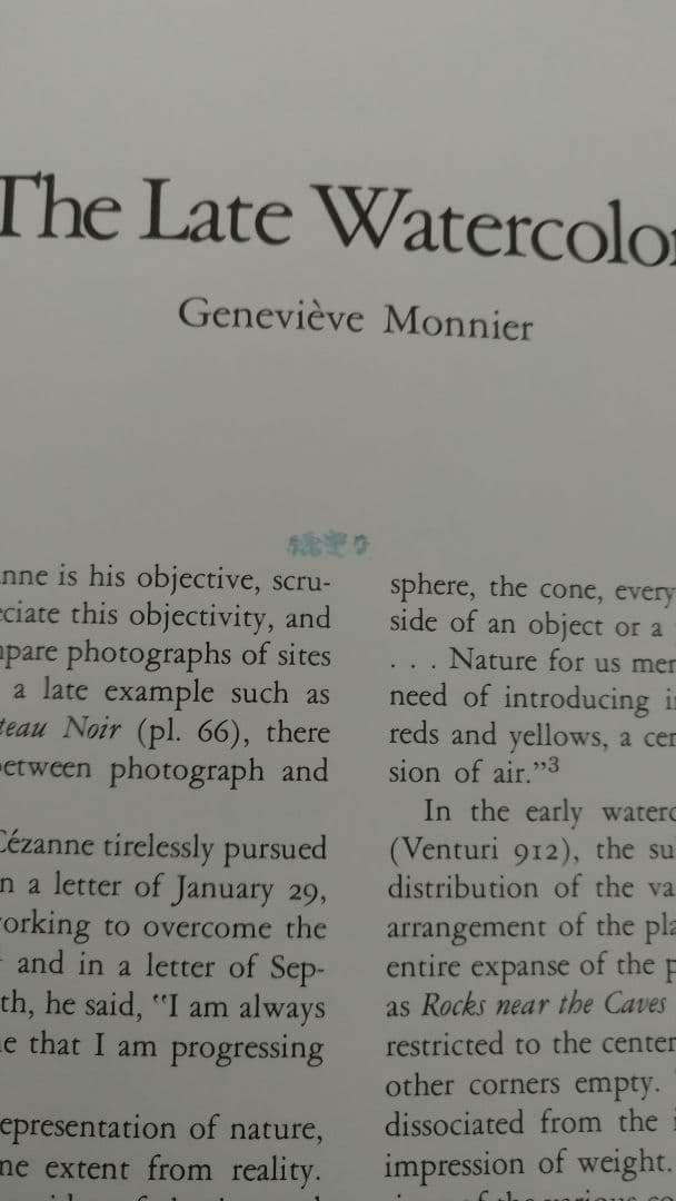 セザンヌ Ce'zanne The Late Work 洋書 画集
