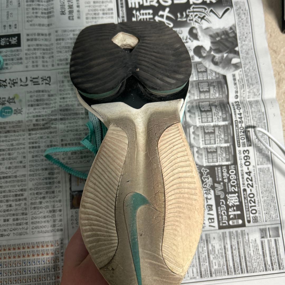 アルファフライ1