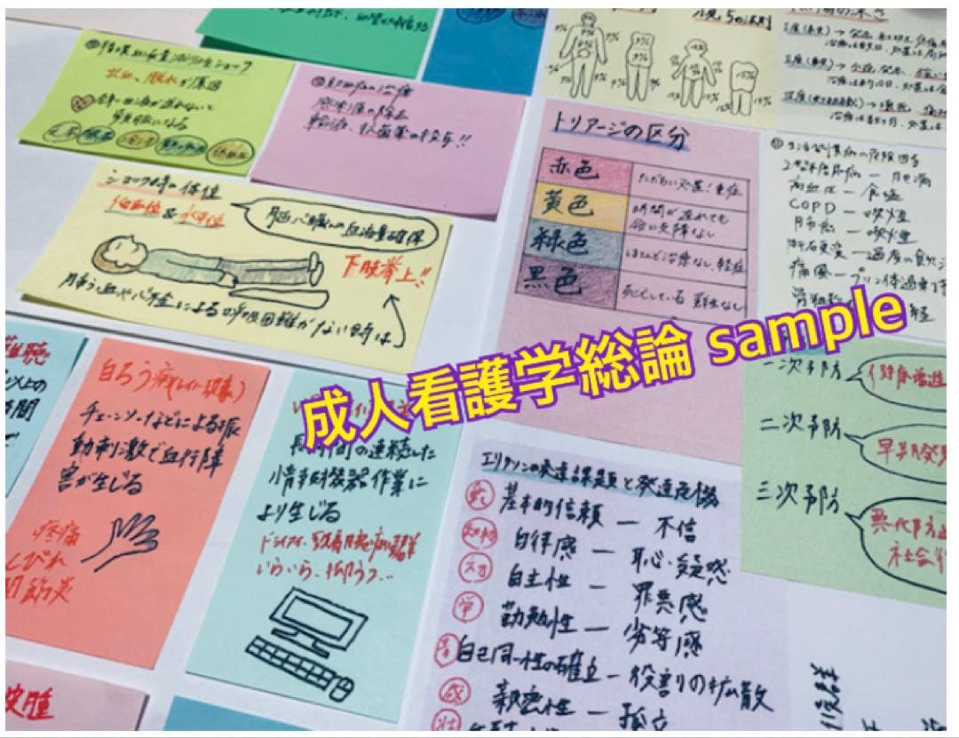 まとめ価格！看護師国家試験対策 付箋 暗記カード 解剖生理　付箋ノート