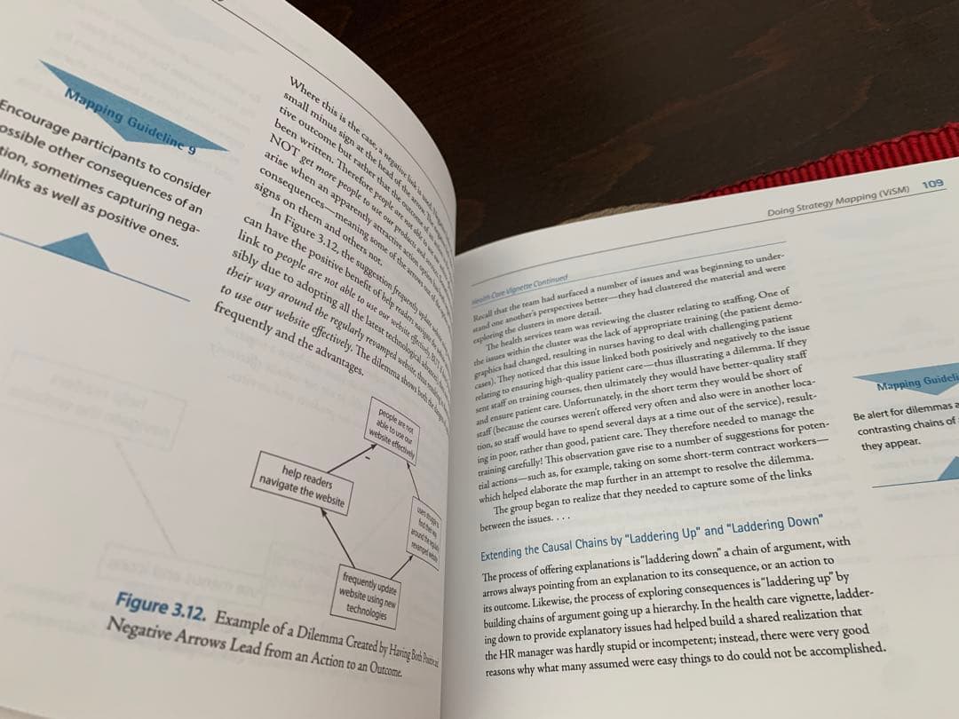 希少　Visual Strategy John M. Bryson