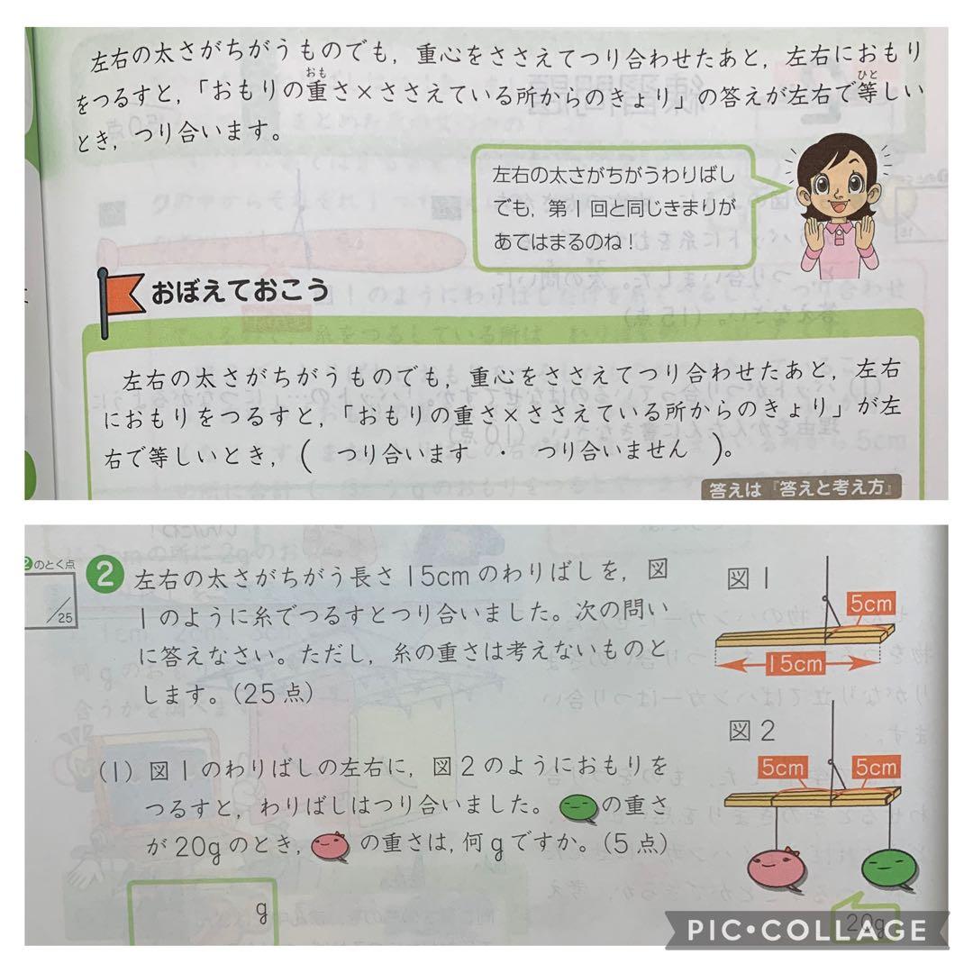 Z会 小3 中学受験 エブリスタディ アドバンスト 解答付き 未記入 1学年分