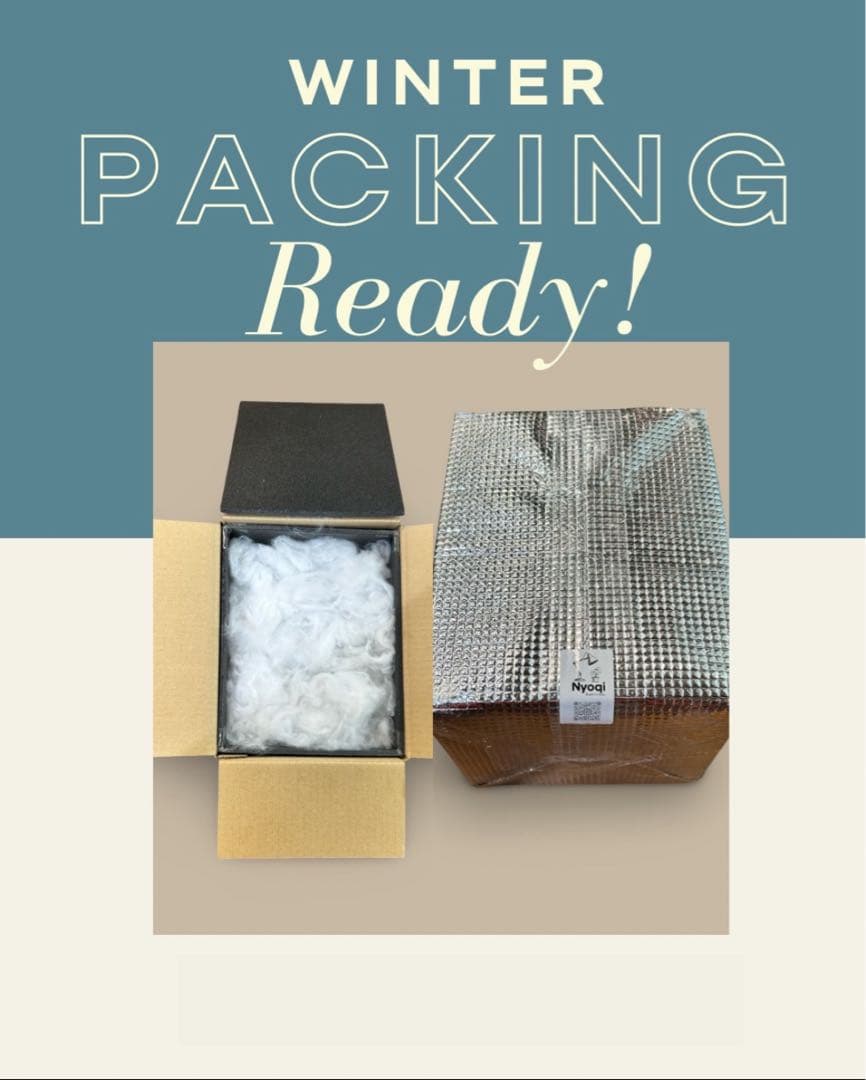 【第四種郵便】P. Willinckii Spur(TC) 【40】