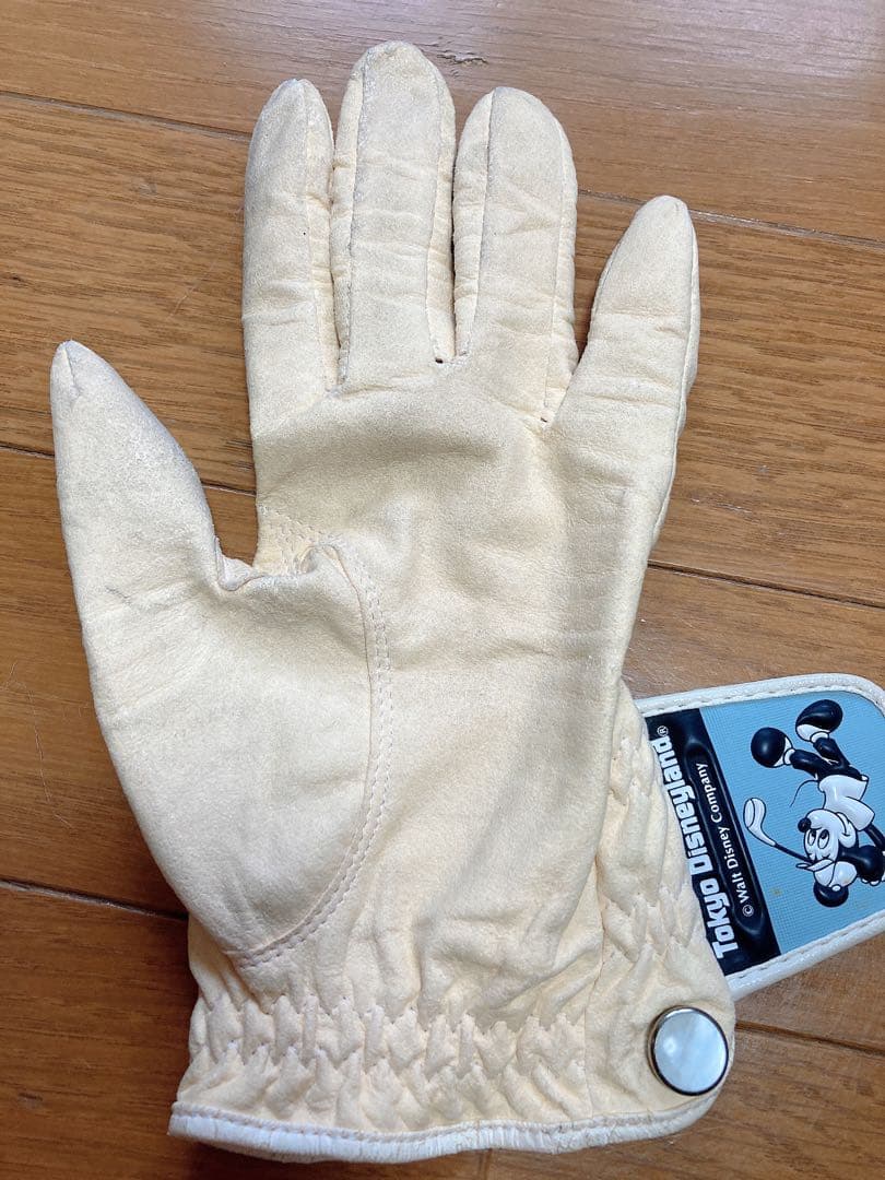 レディスゴルフシユーズと手袋