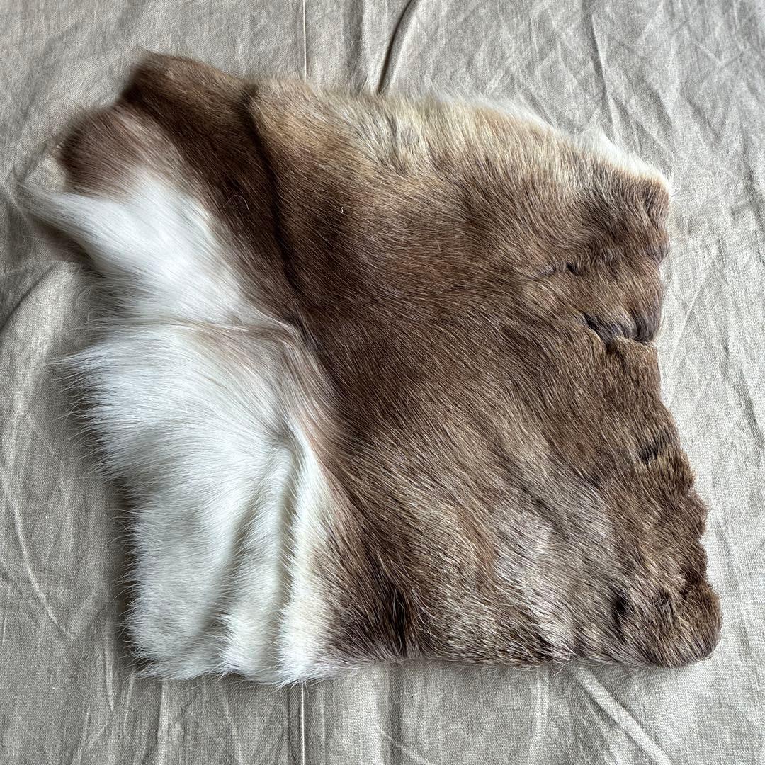 【新品】トナカ　毛皮　小