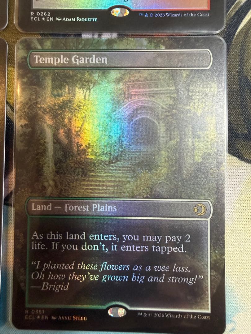 mtg 英語 神聖なる泉 血の墓所 草むした墓 寺院の庭 各種1枚