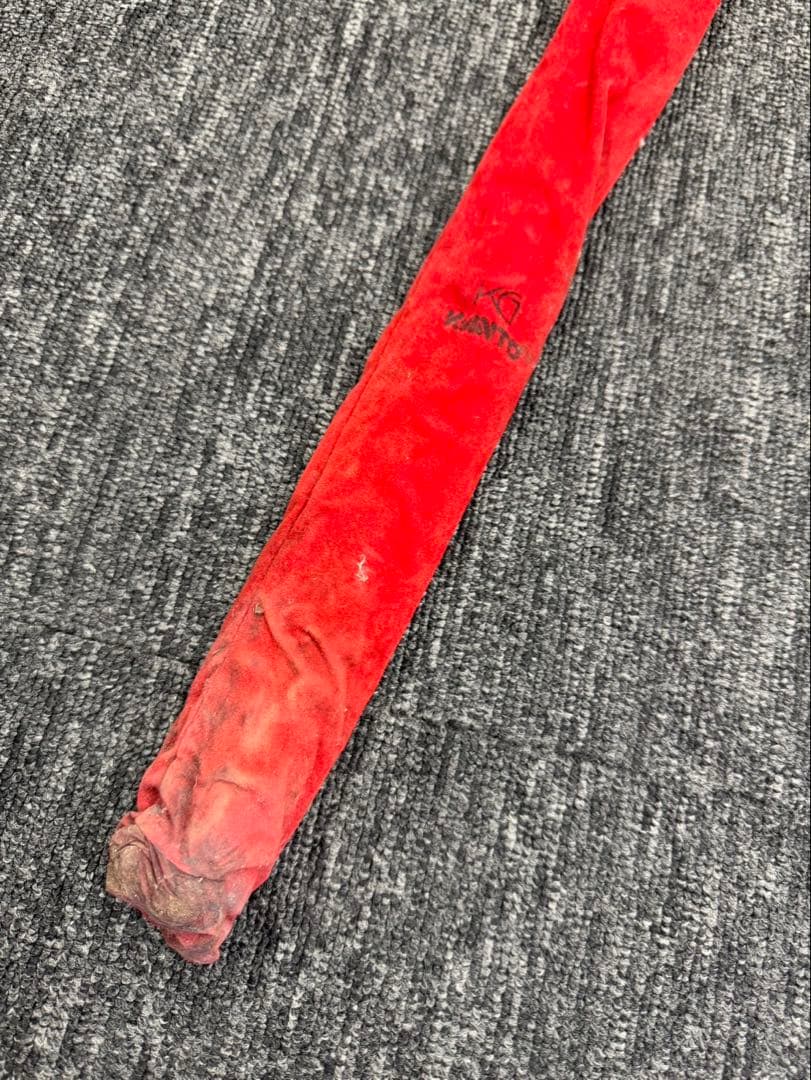 激レア　ヘラブナ　釣り竿　ヘラ竿　十五