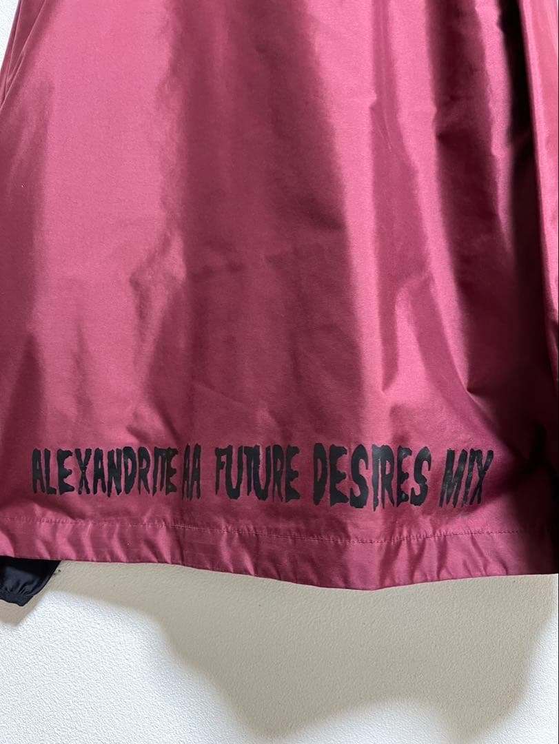 THRASHER Mサイズ　スノボウェア　ウェア　スラッシャー