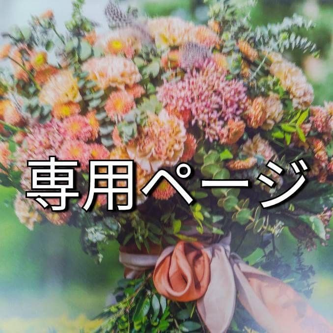 新品未使用　リサージ ボーテ クリーミィソープa