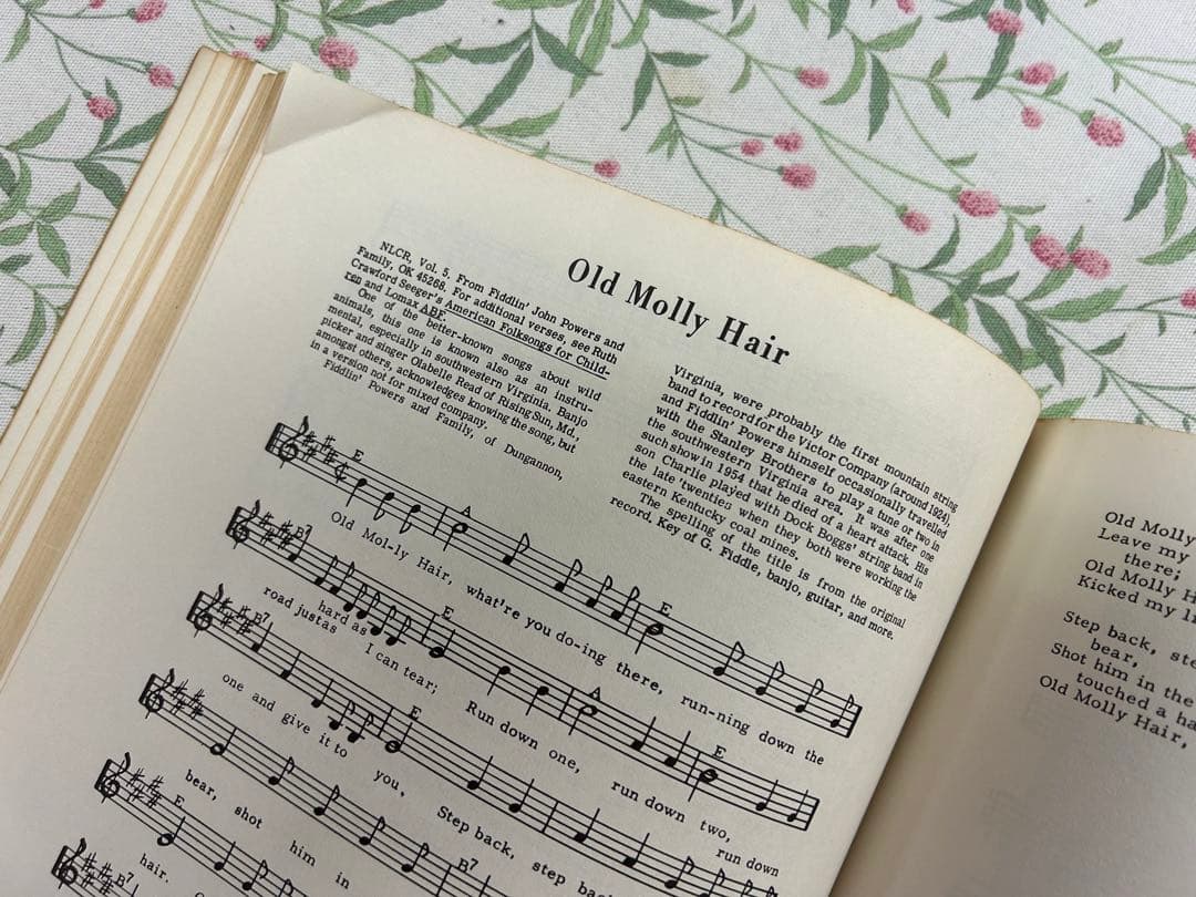 Old-Time String Band Songbook 中古品