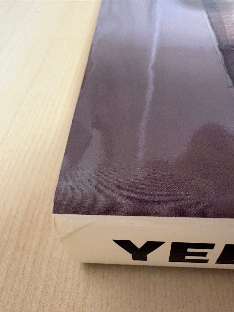 YELLOWS PRIVACY ’94 AKIRA GOMI 五味彬