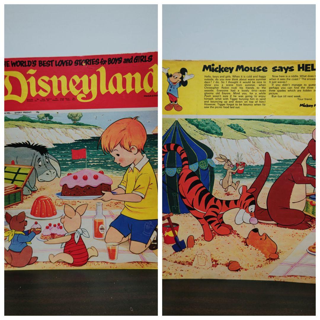 ビンテージ コミック レア 大判 ディズニー 12冊セット 洋書 コレクタブル